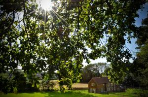 Rural Coastal Self-Catering Accommodation for 8, Near Sandringham Estate, Norfolk