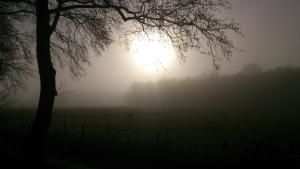 Bed & Breakfast Glimmen