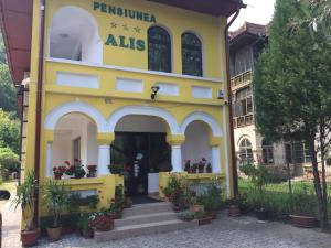 Pension Pensiunea Alis Călimăneşti Romania