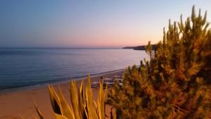 Beira Mar Terrace Apartment