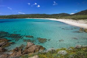 Appartements Studio Rue Fesch - Vieille Ville : photos des chambres