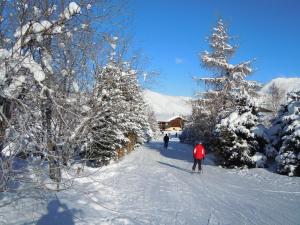 Appartements Chalets D'Or, Les Deux Alpes : photos des chambres