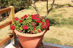 Résidence Villa Smeralda img70