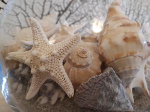 La Casa delle Conchiglie