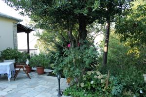 Guesthouse Kleopatra's Pelion Greece