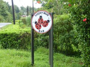 Lucky Bug Bed And Breakfast, Nuevo Arenal