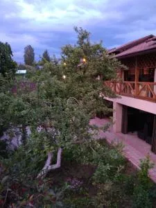 Guest House Albatros - 乔尔蓬阿塔