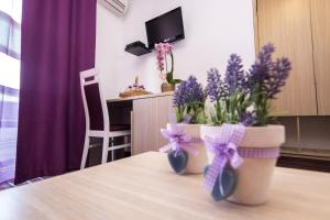 Hotel Villa Sandi - free parking