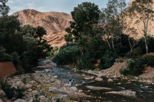 Kasbah Petit Nomade