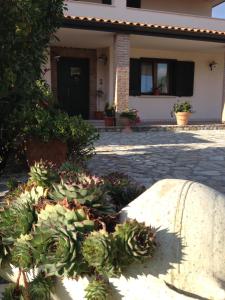Cherry House Bed&Breakfast