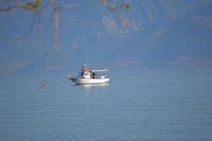 Dimitropoulos Apartments Achaia Greece