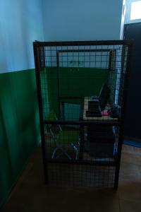 ALCATRAZ JAIL-HOSTEL