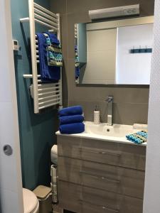 Appartements Studio (Coup de Coeur) Wimereux : photos des chambres