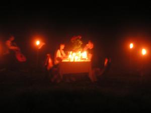 Winnica Na Leśnej Polanie