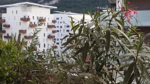 Appartements Proche Gare Europole Terrasse Sud CEA MINATEC : photos des chambres