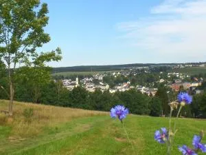 Ferienwohnung Musikwinkel - Markneukirchen