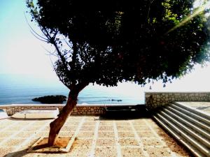 San Liberale sul mare