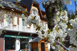 Hotels Auberge La Douce Montagne : photos des chambres