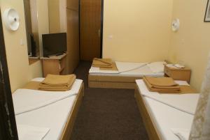 B&B Izvor