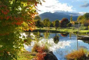 Dreamers - Dartmouth