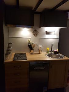 Appartements Au coeur du vieux Tours avec jardin : photos des chambres