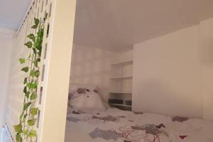 Appartements Au coeur du vieux Tours avec jardin : photos des chambres