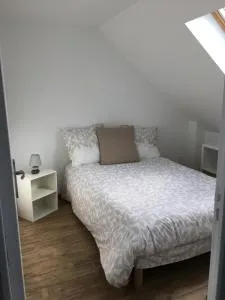 Leonilys - 讷沙泰勒阿尔代洛