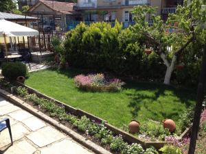 Darina Eco Home