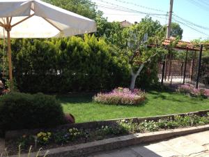Darina Eco Home