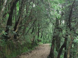 Flame of the Forest by Levitate - Luxury Two-Bedroom Chalet with Balcony Top Valley View & Fully Equipped Kitchen