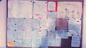 Agriturismo Pentuma img20