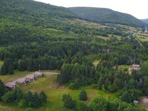 Cajun Cedar Log Cottages Ltd