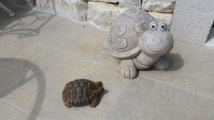 Apartment Old Cottage