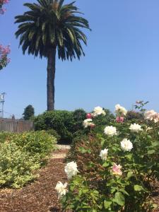 Hitching Post Studios Inn