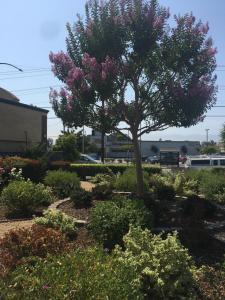 Hitching Post Studios Inn