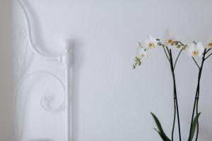 DUSSAIGA - Camera Delle Rose