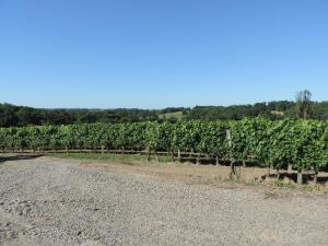 Gite au calme en Armagnac