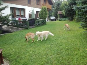 Willa Panorama SPA