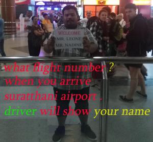 Suratthani Airport TJ Night Boat To Koh Tao