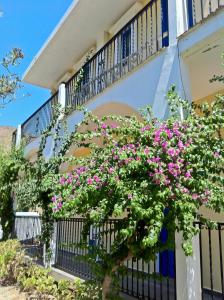 Castellania Hotel Apartments Tílos Greece