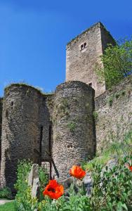 B&B / Chambres d'hotes Chambre d'Hotes au Chateau de Belcastel : photos des chambres