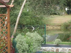B&B / Chambres d'hotes Le Petit Etang : photos des chambres