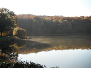 Appartements Maison de L`Etang : Appartement - Vue sur Lac
