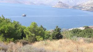 Avra Studios Kalymnos Greece