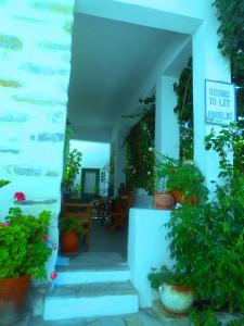 Angeliki Pension Amorgos Greece