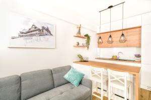 ELuxuria GREEN HlLL Apartment przy stoku narciarskim OZONOWANY