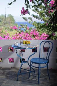 Hotel - Apartments Delfini Chania Greece