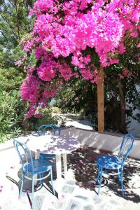 Hotel - Apartments Delfini Chania Greece