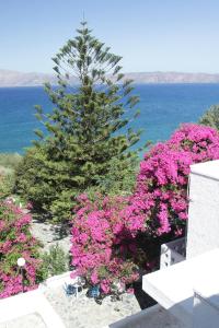 Hotel - Apartments Delfini Chania Greece