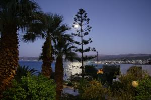 Hotel - Apartments Delfini Chania Greece